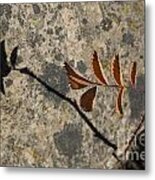 Shadow Metal Print