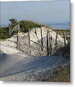 Shadow Fence Metal Print