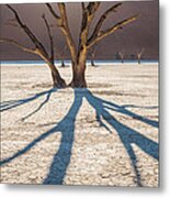 Shadow Of The Camel Thorn - Dead Vlei Photograph Metal Print