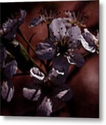 Shadowed Flowers Metal Print