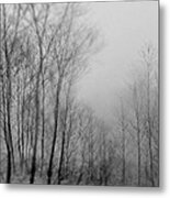 Shadows And Fog Metal Print