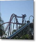 Sheikra Roller Coaster - Busch Gardens Tampa - 01131 Metal Print