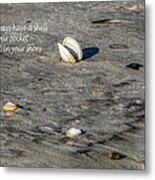 Shell In Your Pocket Metal Print