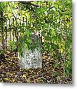 Sheltered Grave Metal Print