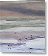 Shoreline Birds Ii Metal Print