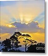 Signal Hill Sunset Metal Print