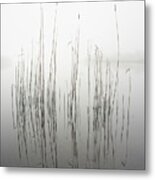 Silence Metal Print