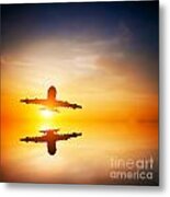 Silhouette Of A Flying Passenger Metal Print