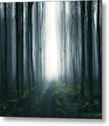 Silhouette Of A Person Standing In A Forest, Cootehill, County Cavan, Ireland Metal Print