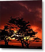 Silhouetted Cypresses Metal Print