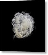 Silk Fibres From Cocoon Metal Print
