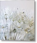 Silver And Gold Metal Print