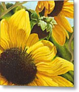 Silver Leaf Sunflowers Metal Print