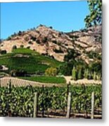 Silverado Trail  Napa Valley California Metal Print