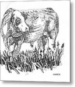 Simmental Bull Metal Print