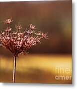 Simplicity Metal Print