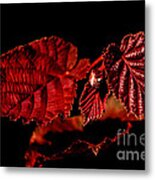 Simply Red Metal Print