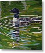 Singleton Loon Metal Print