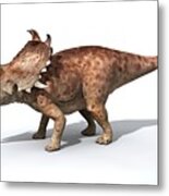 Sinoceratops Male Dinosaur Metal Print