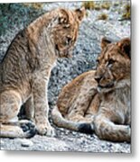 Sister And Brother Metal Print