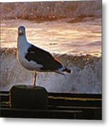 Sittin On The Dock Of The Bay Metal Print