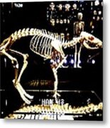 Skeleton 340 Metal Print