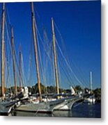 Skipjacks Metal Print