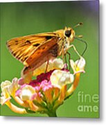 Skipper On Lantana Metal Print