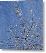 Sky Clouds Branches And Ice Metal Print