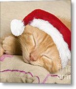 Sleepy Christmas Kitten Metal Print