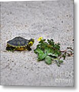 Slider And Sorrel In Sand Metal Print