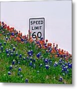 Slow Down And Smell The Bluebonnets Metal Print