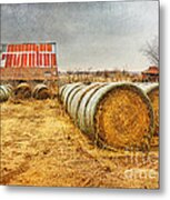 Slumbering In The Countryside Metal Print