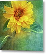 Small Sunflower Metal Print