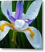 Smile Raindrop Dragon Metal Print