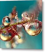 Smoke Bush Drops Metal Print