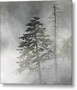Smoky Mountain Mist Metal Print