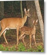 Smudgie And Fawn Pastel Metal Print