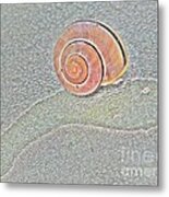 Snail Shell On Grey Treebark Metal Print