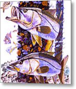 Snook Piling Metal Print