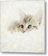 Snow Baby Metal Print