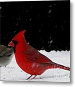 Snow Birds Metal Print