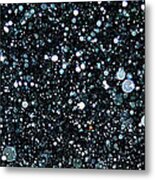 Snow Gazing Metal Print