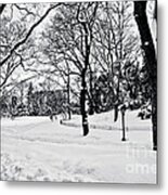 Snow Scene Metal Print