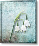 Snowdrop Metal Print