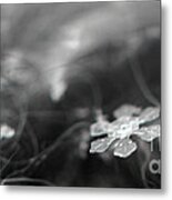 Snowflake Garden Metal Print