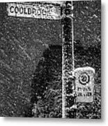 Snowstorm Metal Print