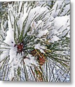 Snowy Pine Metal Print