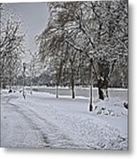 Snowy River Metal Print