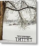 Snowy Winter Country Cottonwood Tree Landscape View Metal Print